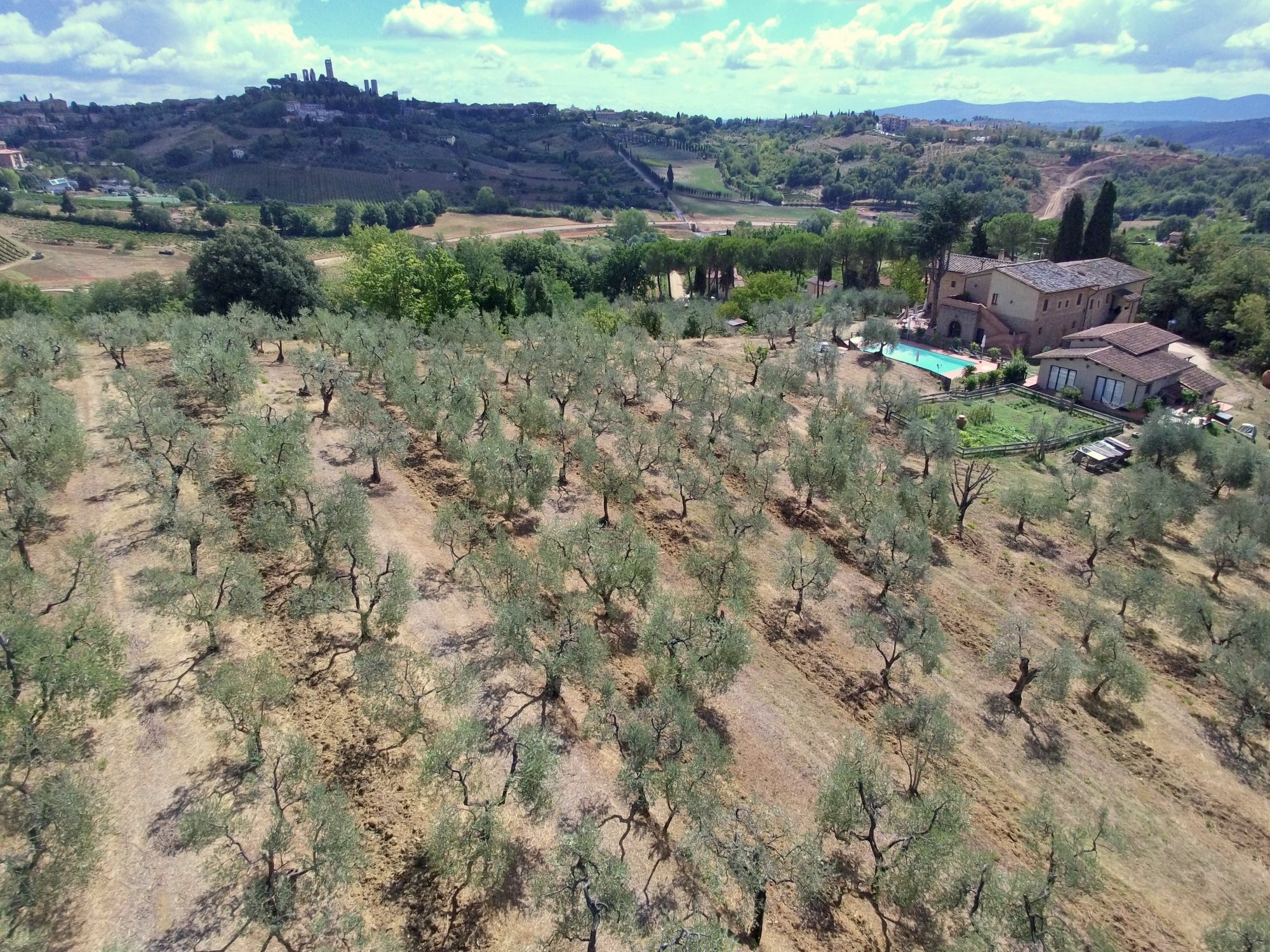 Agriturismo I Pini San Gimignano Exterior foto